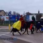 zdjęcie nr 42
