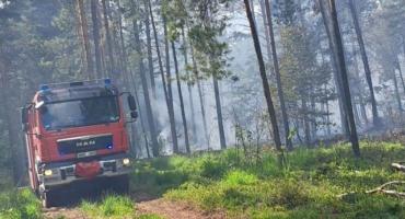 Dzieci uratowały las przed spaleniem!
